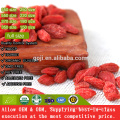 Best Organic Certificated Nutrition Goji Berry with high quality